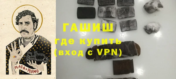 гашик Няндома